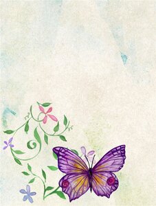 Background page butterfly