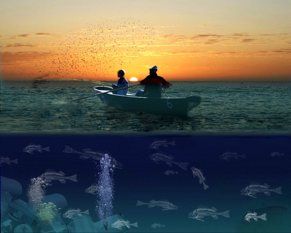 Fish water lake