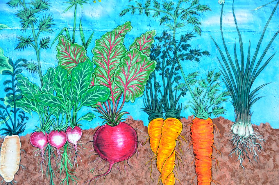 Backdrop decorative art