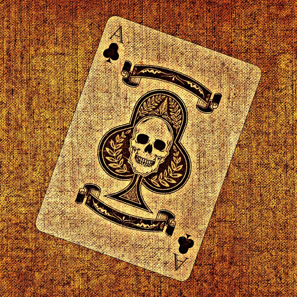 Tissue structure card game