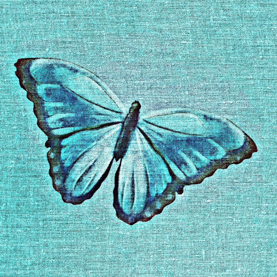 Textile wing insect
