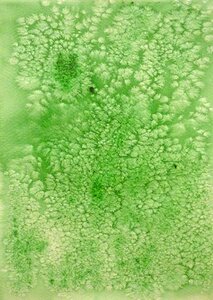 Abstract green paper