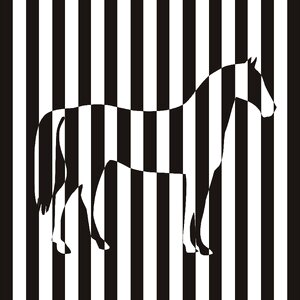 The horse vector animal Free illustrations
