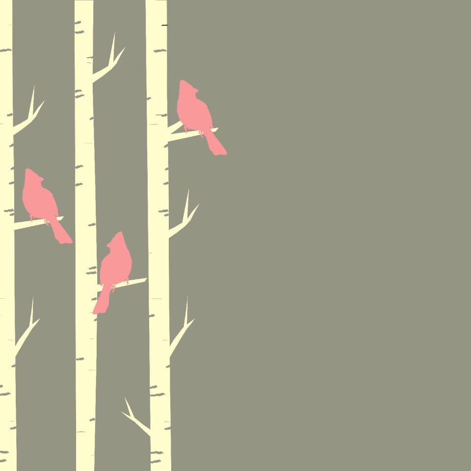 Birch trees perched pink