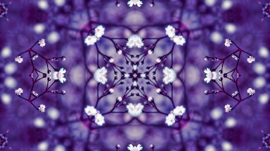 The background floral model