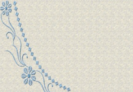 Paper white flowers