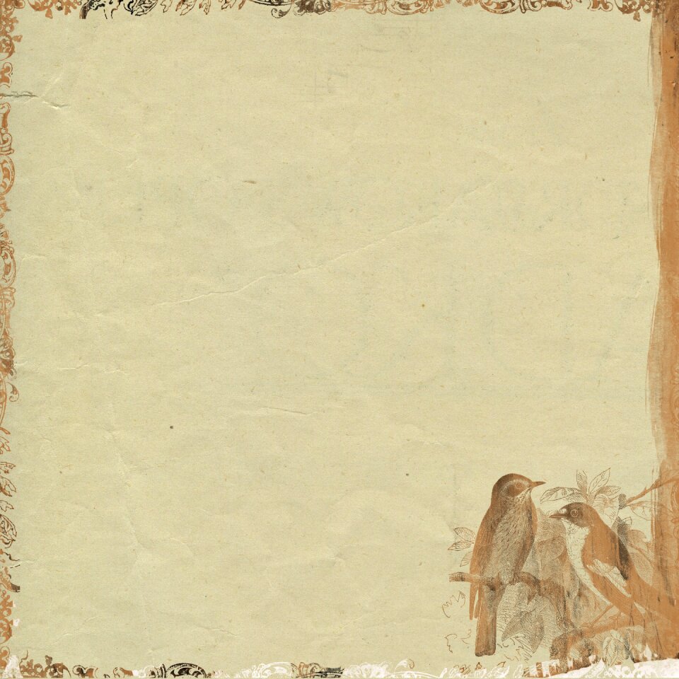 Birds scrapbook background