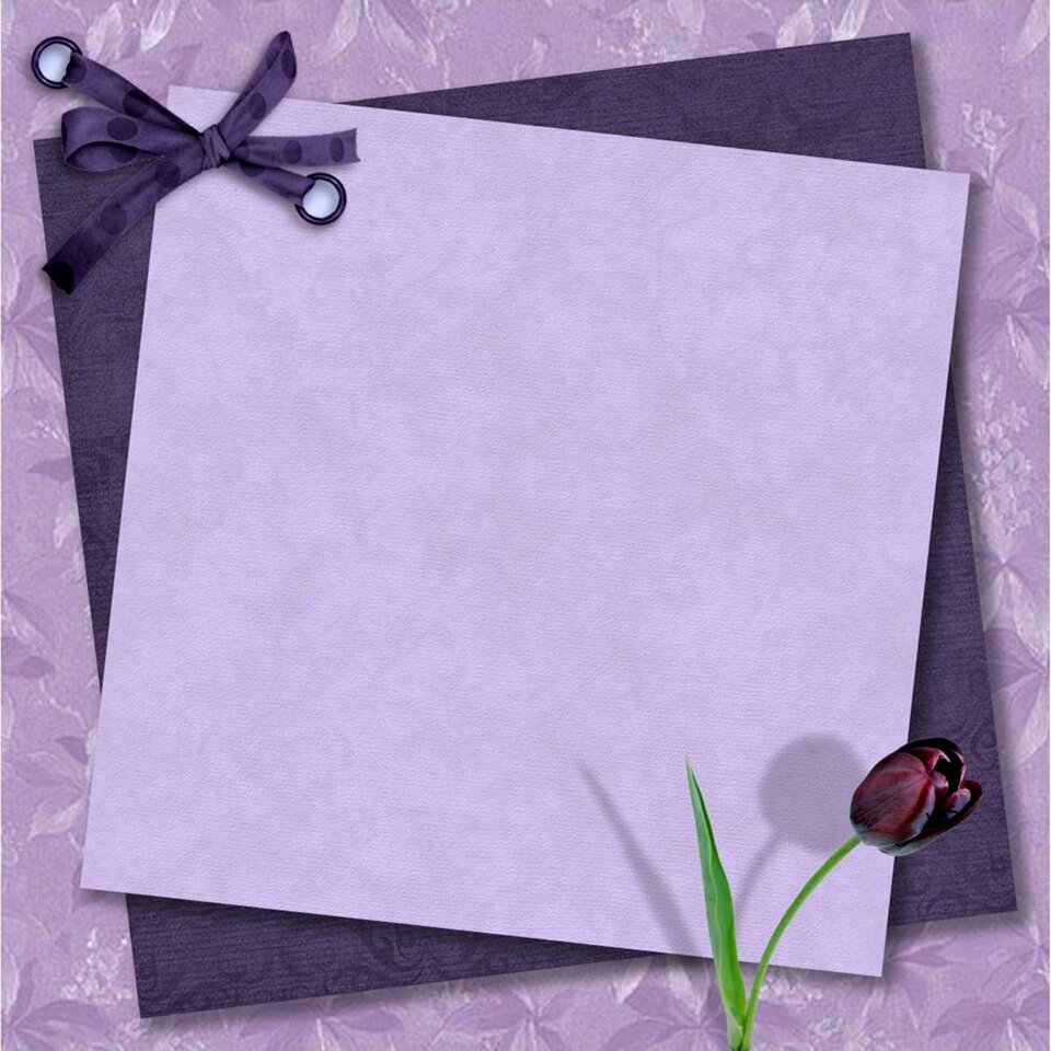 Tulip beautiful Free illustrations