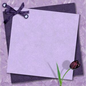 Tulip beautiful Free illustrations