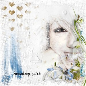 White blooming snowdrop lullaby