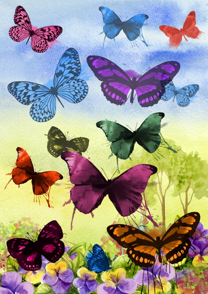 Graphic design butterflies
