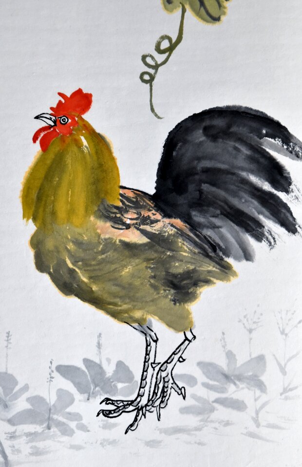 Animal chicken chinese