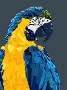 Beak tropical exotic