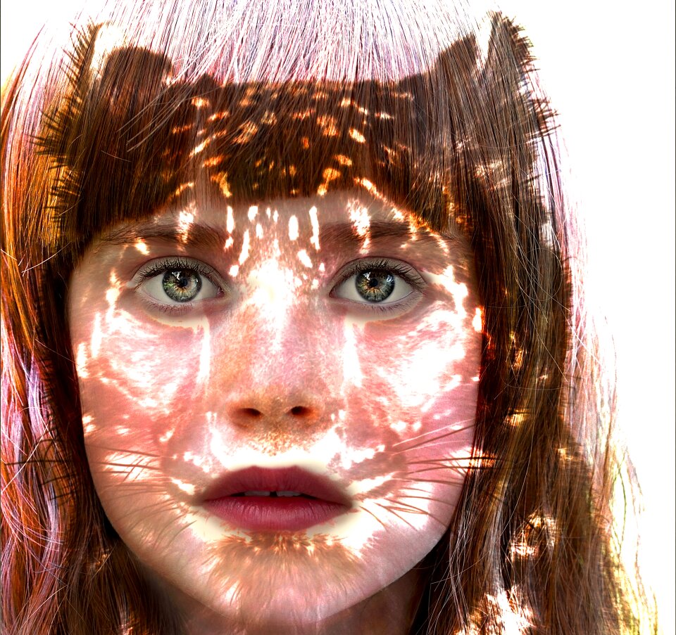Face human masquerade