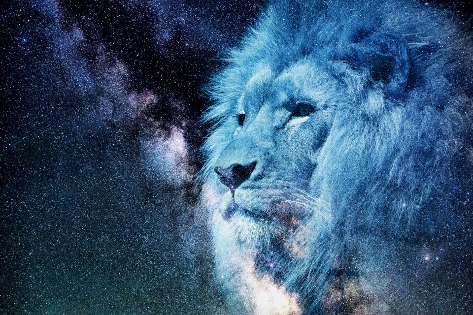 Blue animal crest