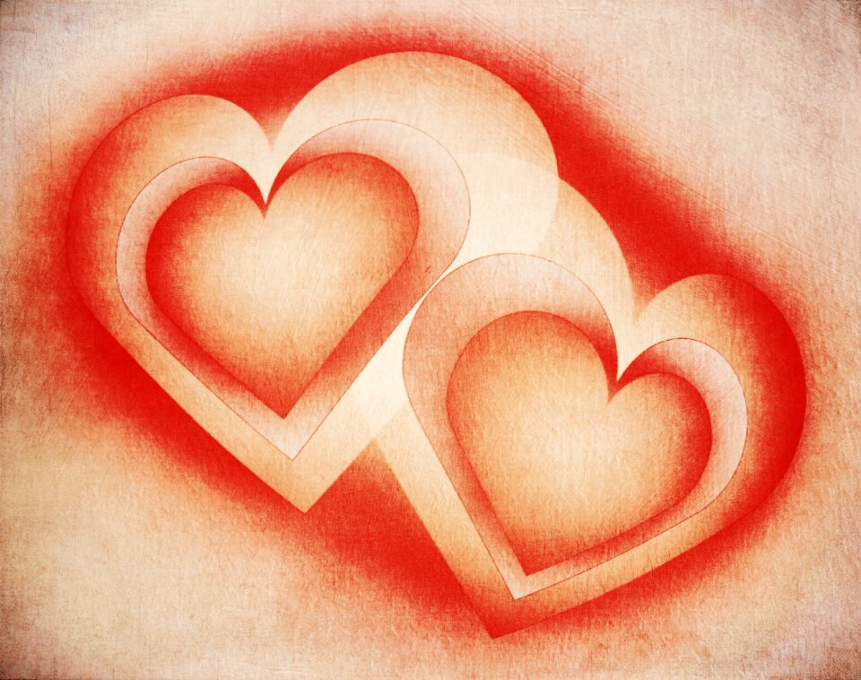Romantic valentine's day wedding