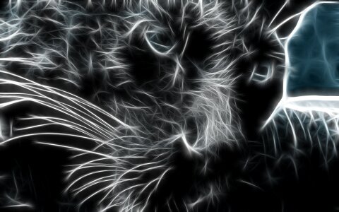 Chic drawing Free illustrations