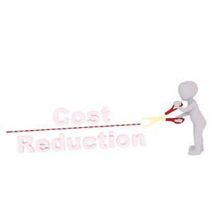 Austerity measures budget finance