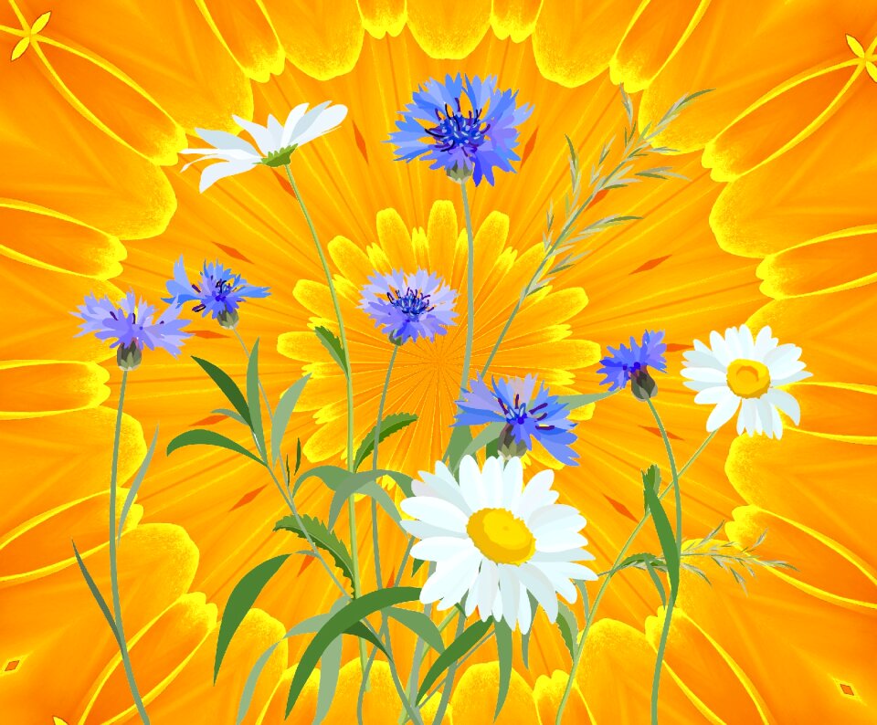 Yellow blue white