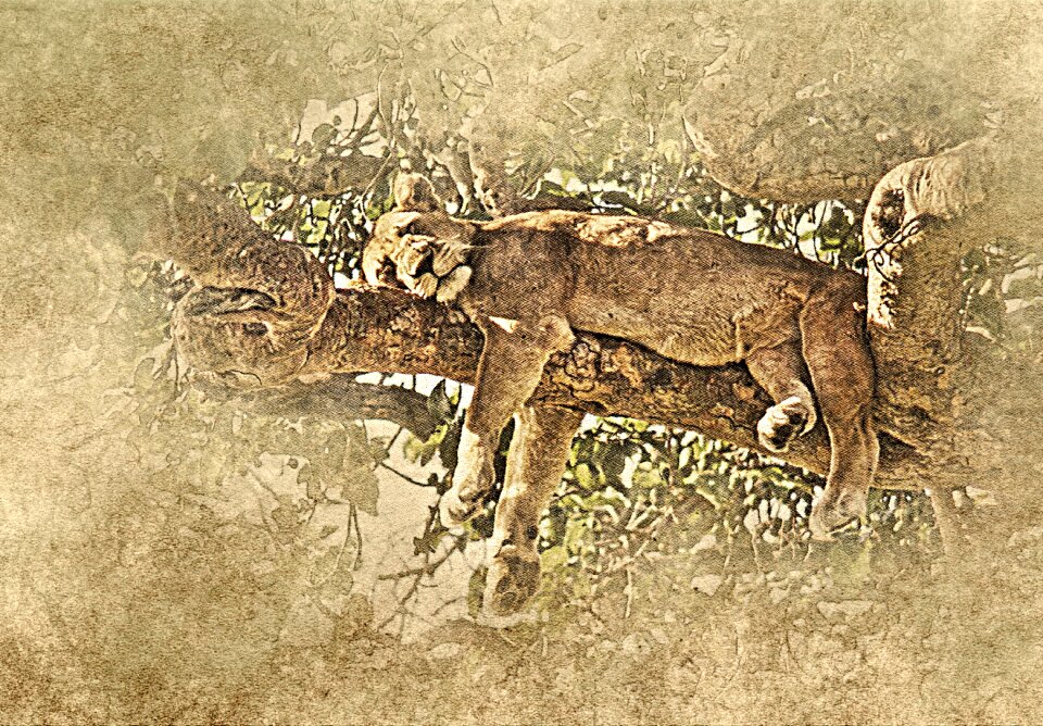 Vintage decorative nature