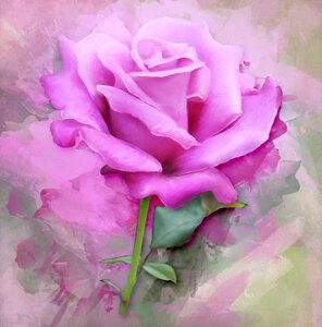 Painting floral flower