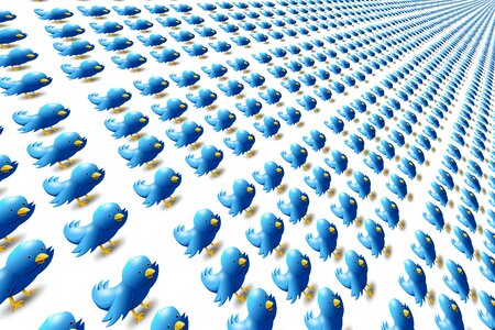 Social tweet bird