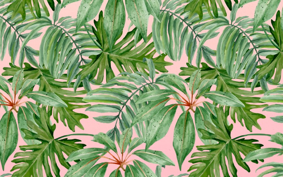 Banana green banana Free illustrations