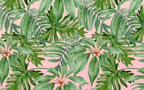 Banana green banana Free illustrations