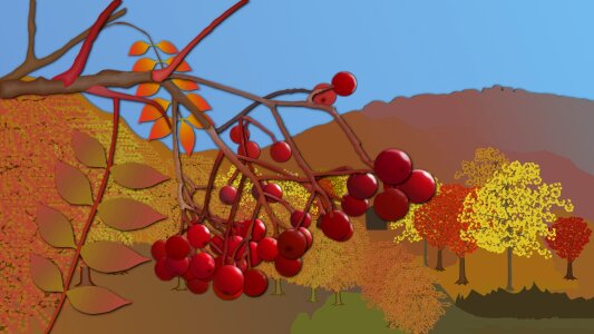 Autumn autumnal leaves autumn landscape
