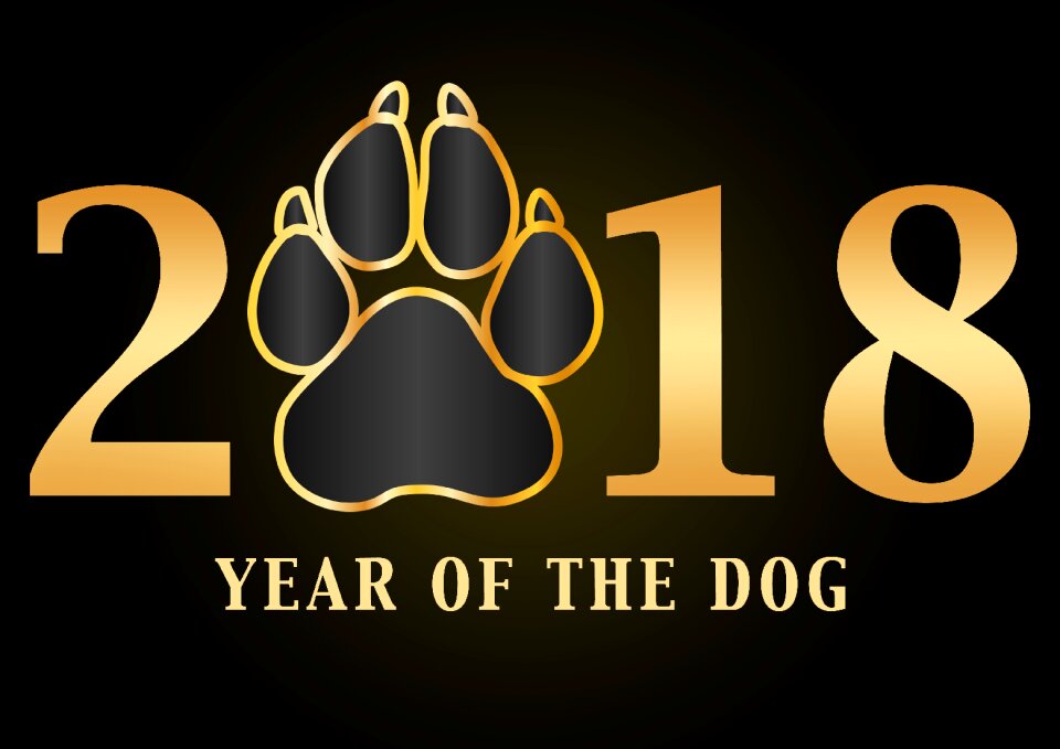 Date black dog black numbers