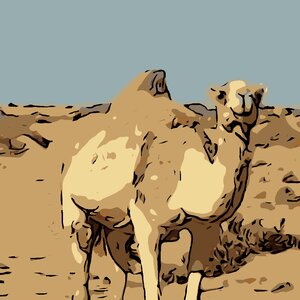 Drawing desert Free illustrations