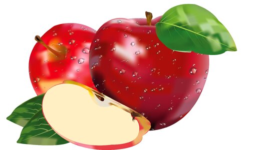 Still life 3d drawing Free illustrations