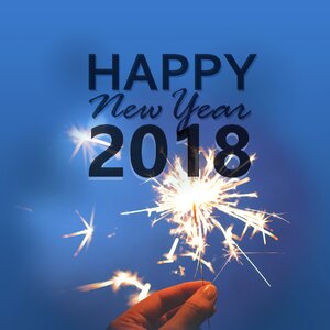 New year new year day celebration