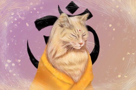Aum buddhism tranquility