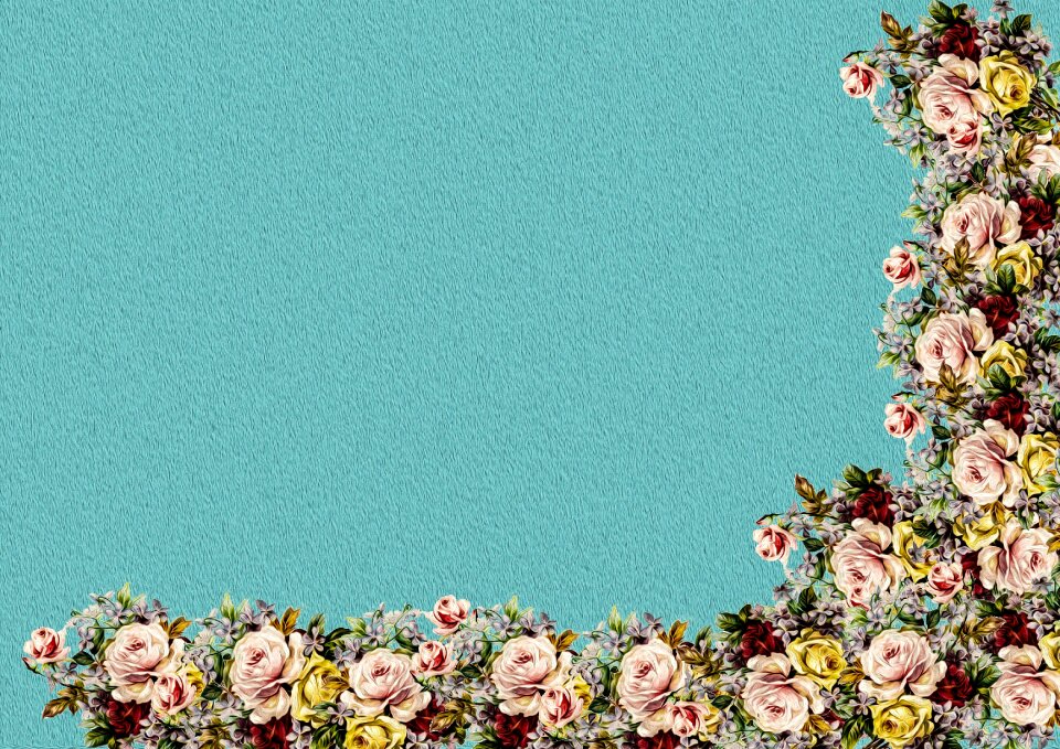 Background album diary