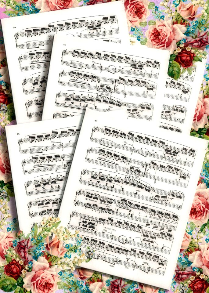 Vintage shabby chic playful