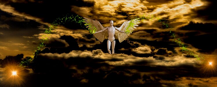 Brown heaven brown angel Free illustrations
