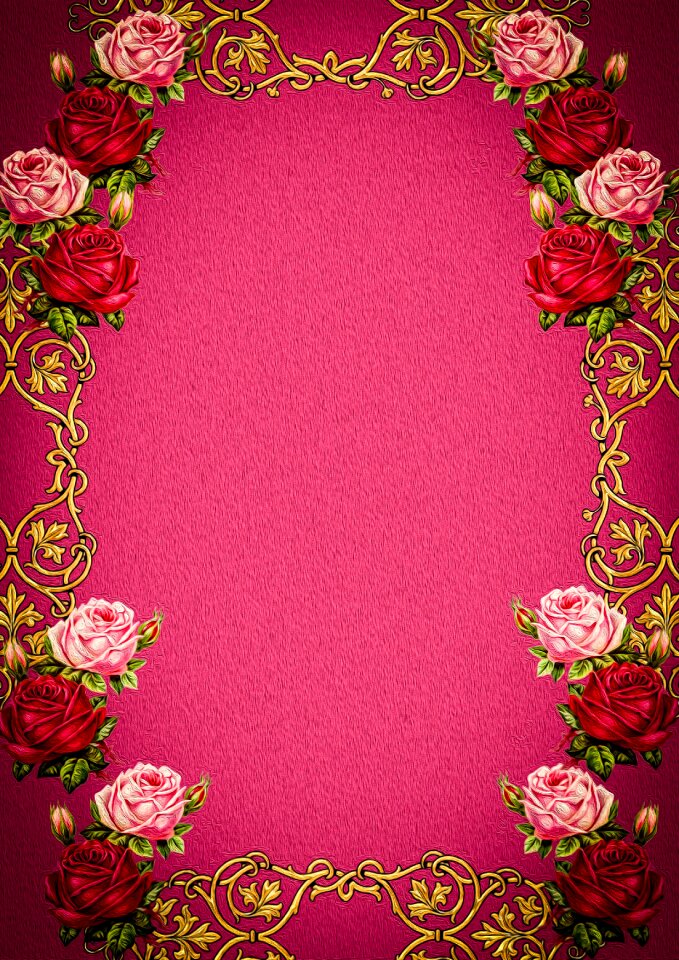 Flower floral roses