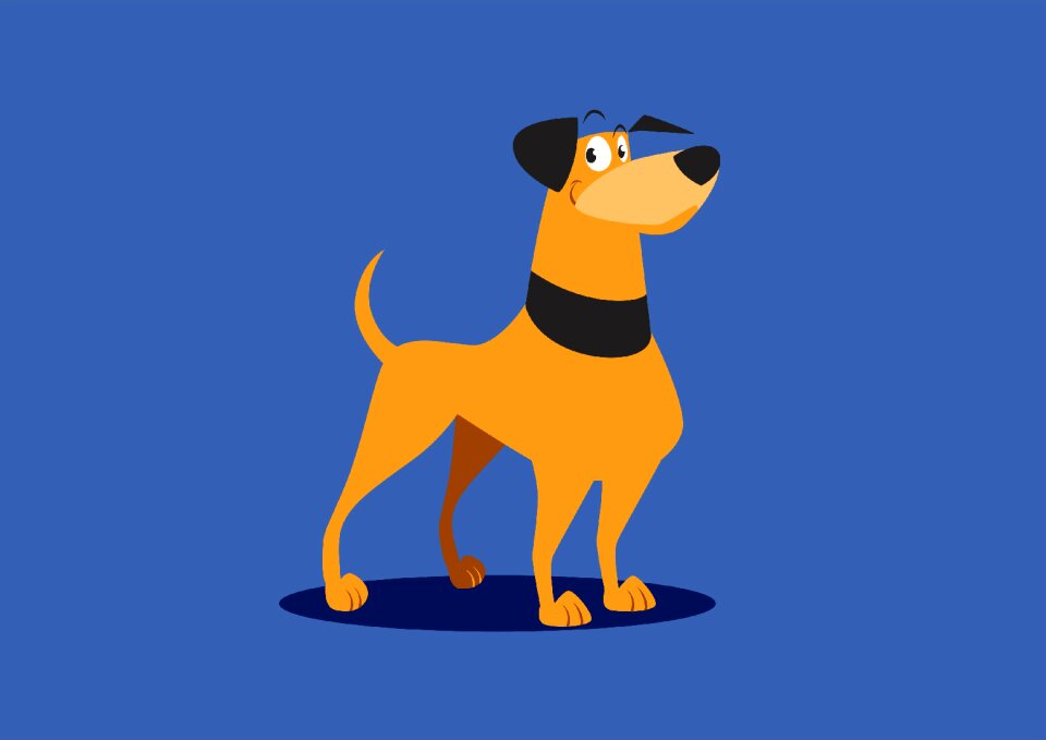 Animal dog animals