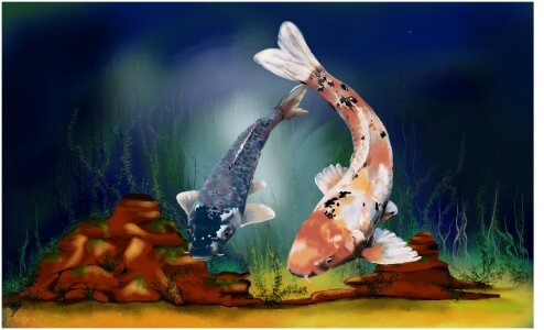 Water fish Free illustrations