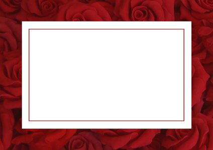 Out of love card tickets