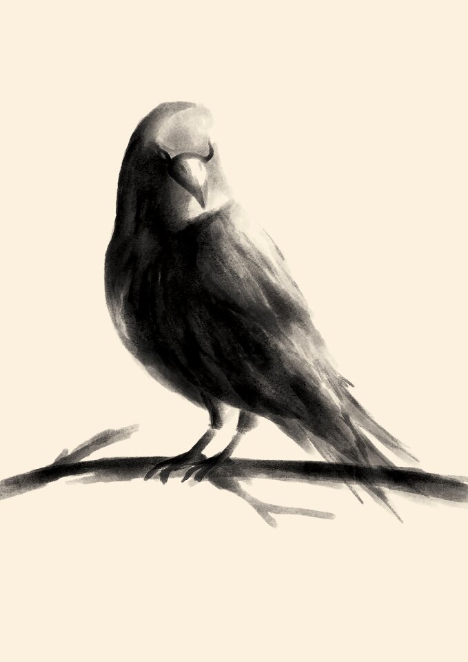 Bird painting chinese
