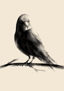 Bird painting chinese