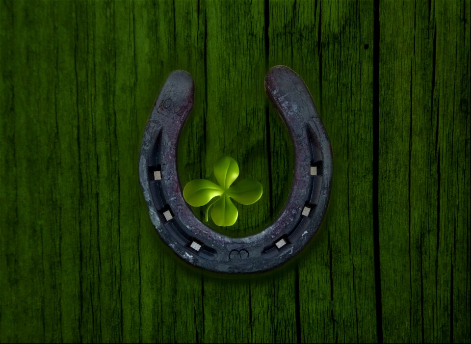 Four leaf clover wall lucky charm