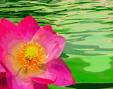 Nature aquatic plant pond