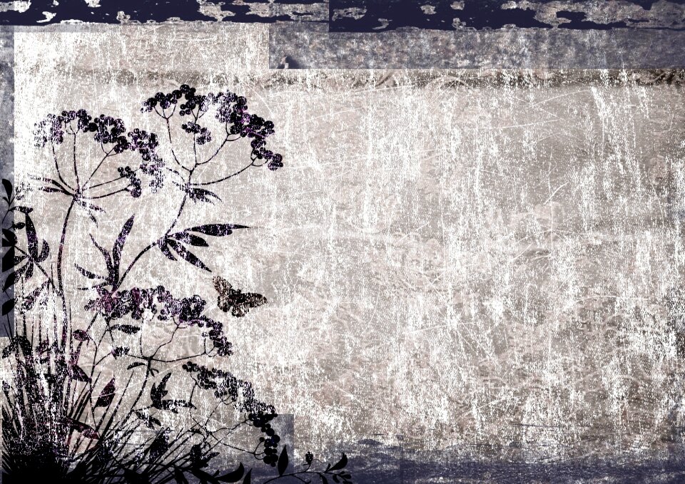 Butterfly silhouette black