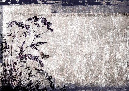 Butterfly silhouette black