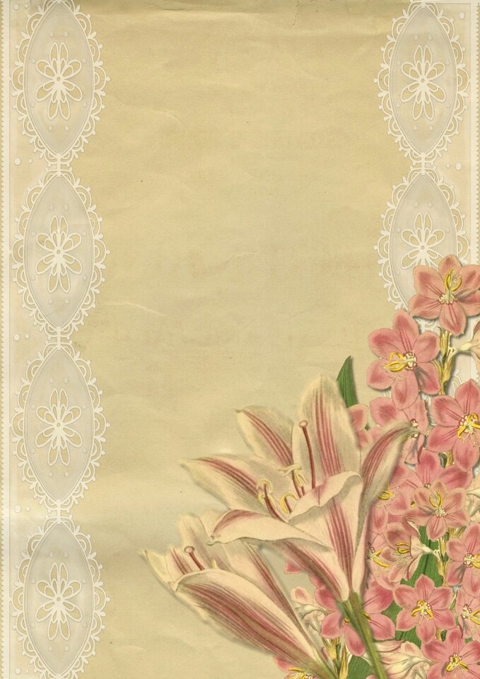 Collage lily botanical
