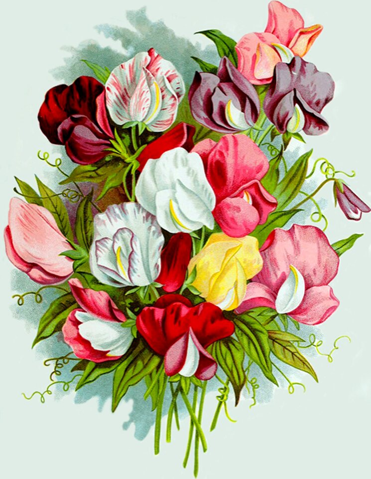 Flower color floral