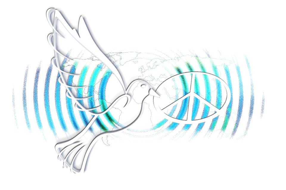 Peace dove world peace flying